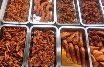 淄博哪里可以學(xué)章魚小丸子技術(shù)？這些地方值得關(guān)注！