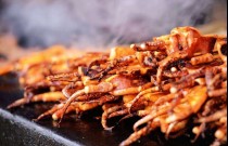 賣魷魚一個(gè)月掙多少錢？學(xué)會技巧，收入可期！