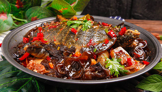 麻辣甲魚(yú)