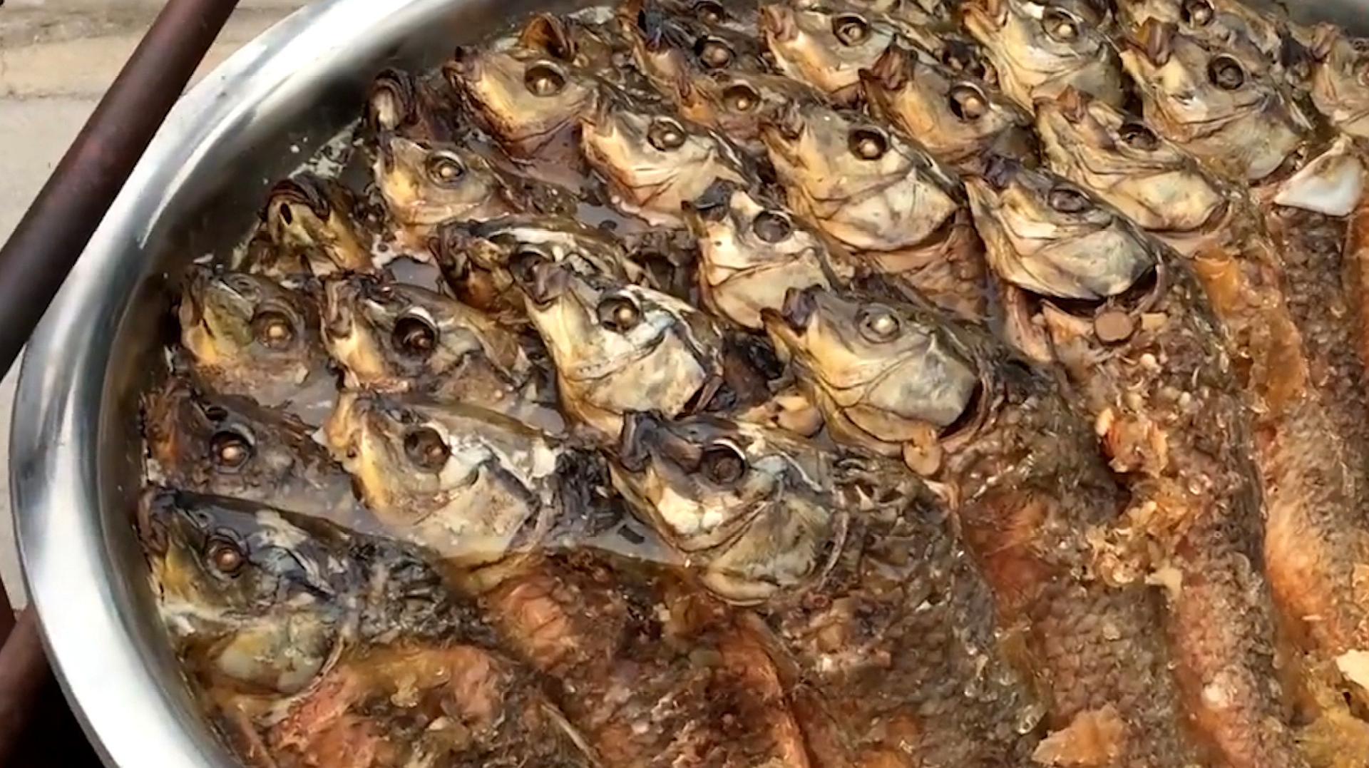 糟魚的正宗做法有哪些？腌制火候和技巧把握才是關(guān)鍵